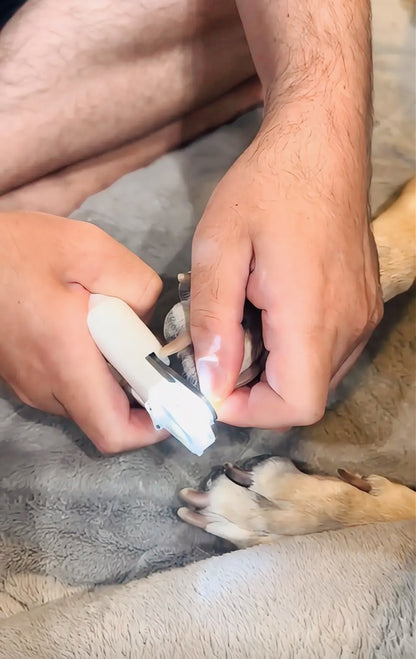 PetNova™ SafeTrim Nail Clipper🐾